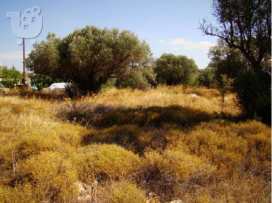 Οικόπεδο σε όμορφη περιοχή κοντά στην Αθήνα